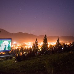 Festivalurile din Câmpulung