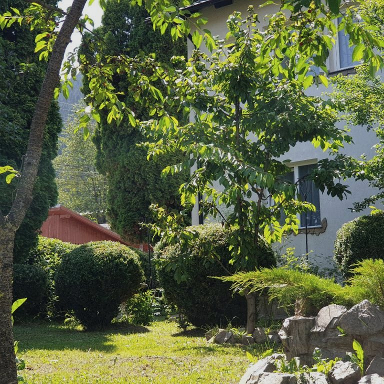 Casa văzută din grădină, printre frunzele cireșului