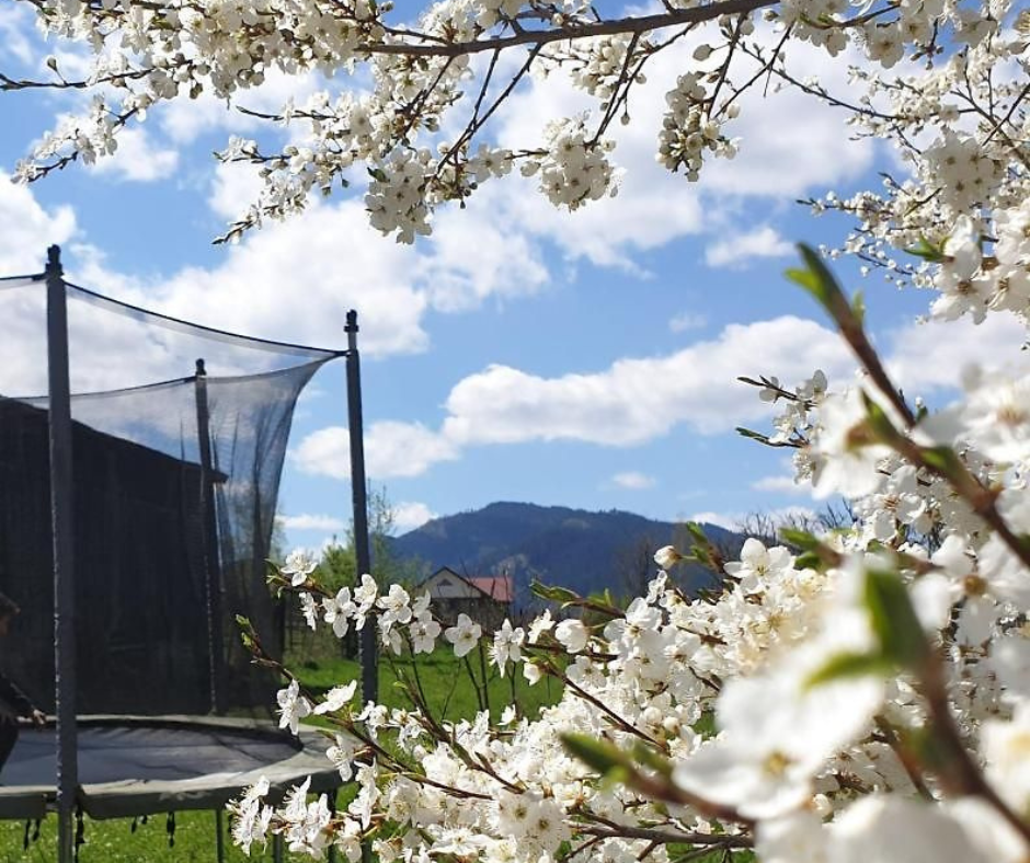 cazare în Câmpulung Moldovenesc la cuib