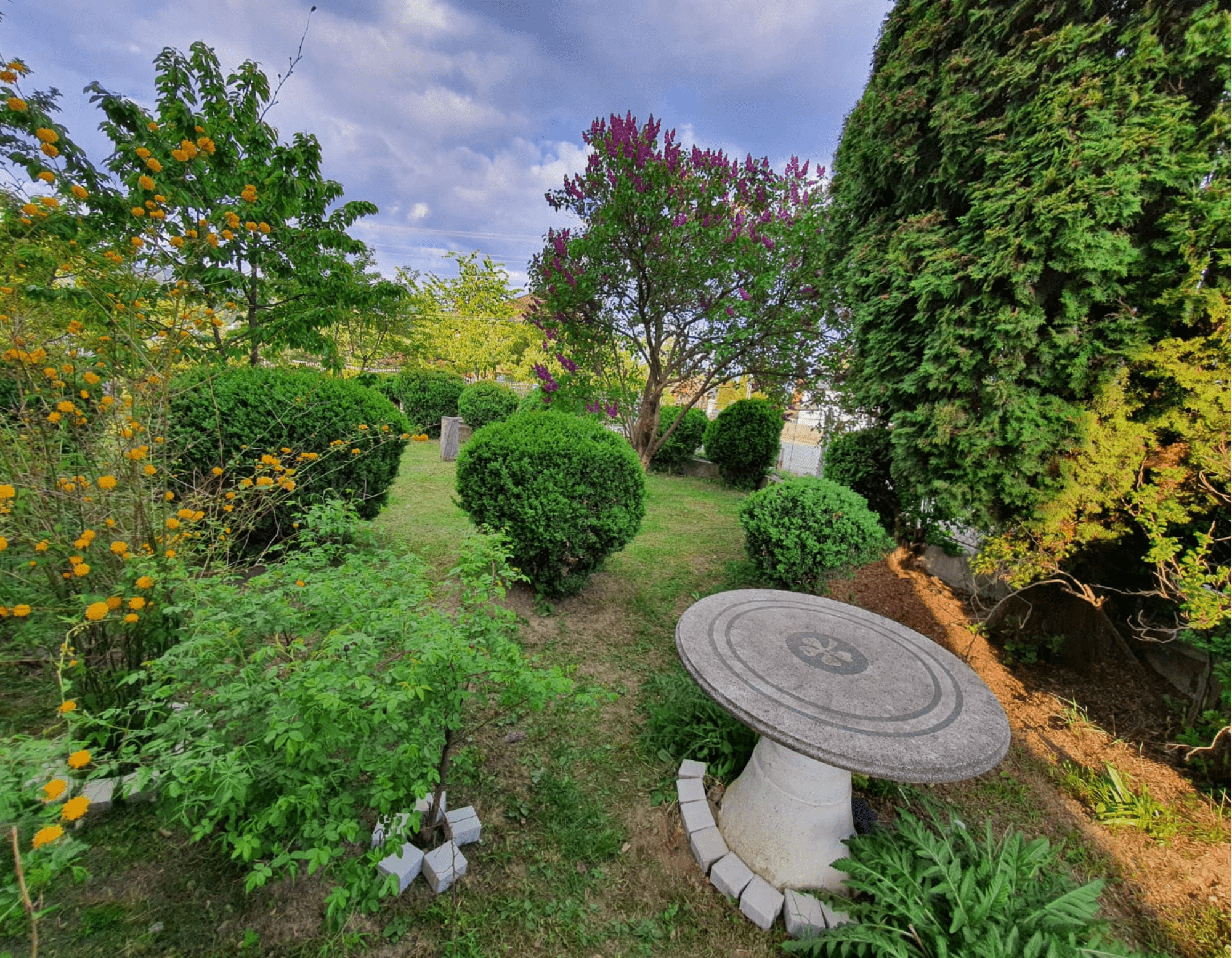 La cuib - gradina verde