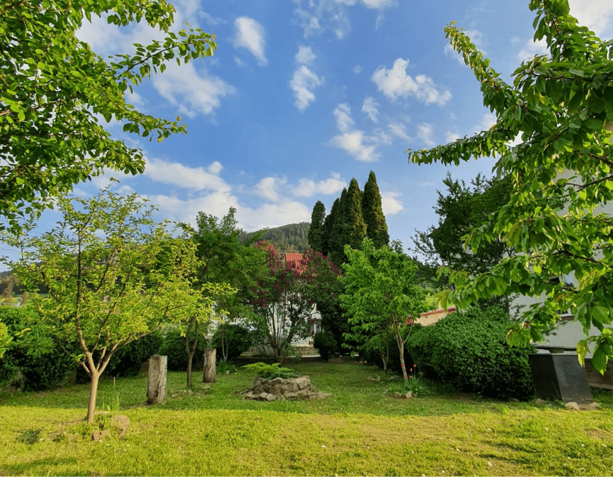 La cuib - gradina verde