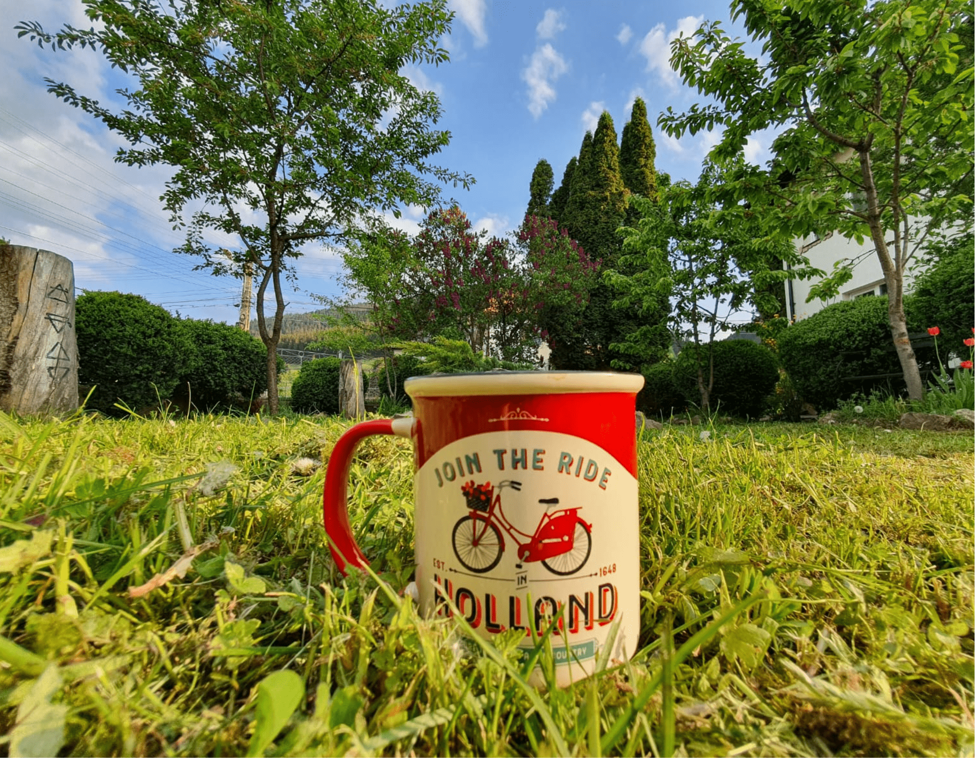 La cuib - gradina verde